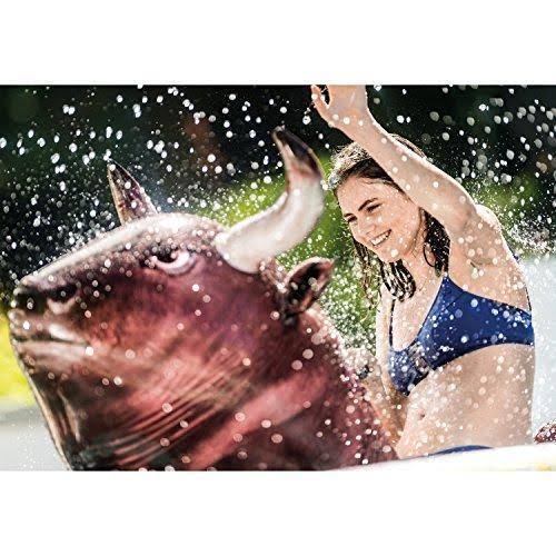 Inflatable Ride-On Pool Toy E394