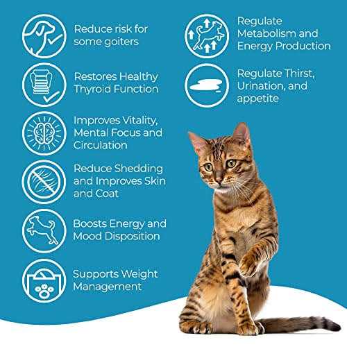 Cat Hyperthyroid + Weight Gain Support Feline Thyroid Supplement C46591