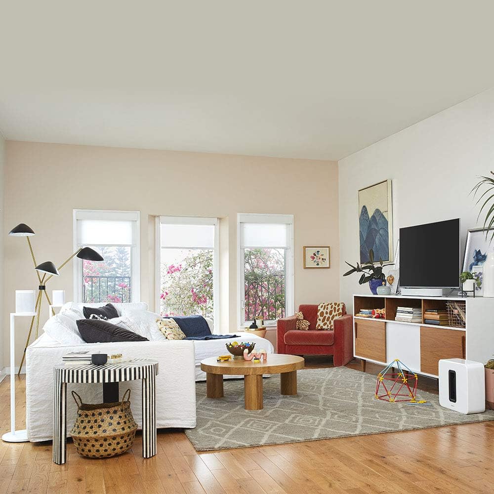 White Wireless Subwoofer V70614
