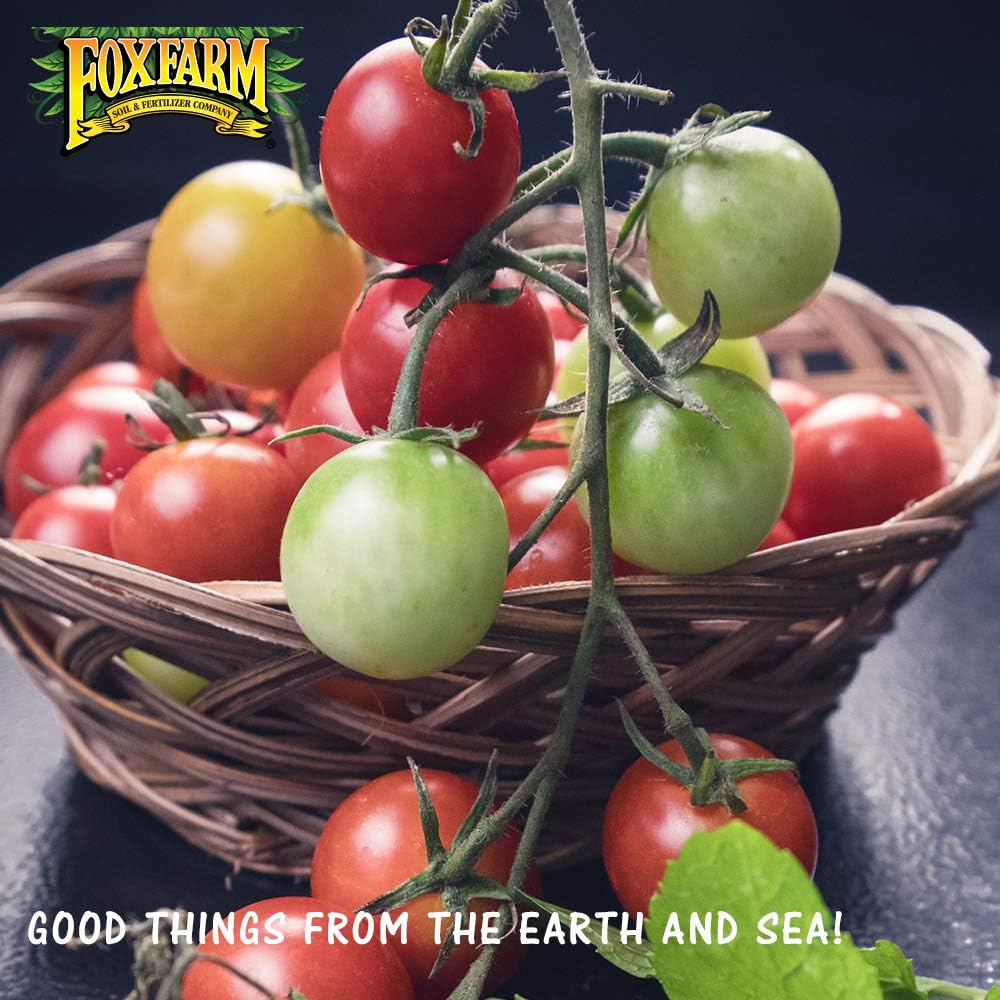 38.5 Quart Organic Potting Soil (4 Pack) S680634