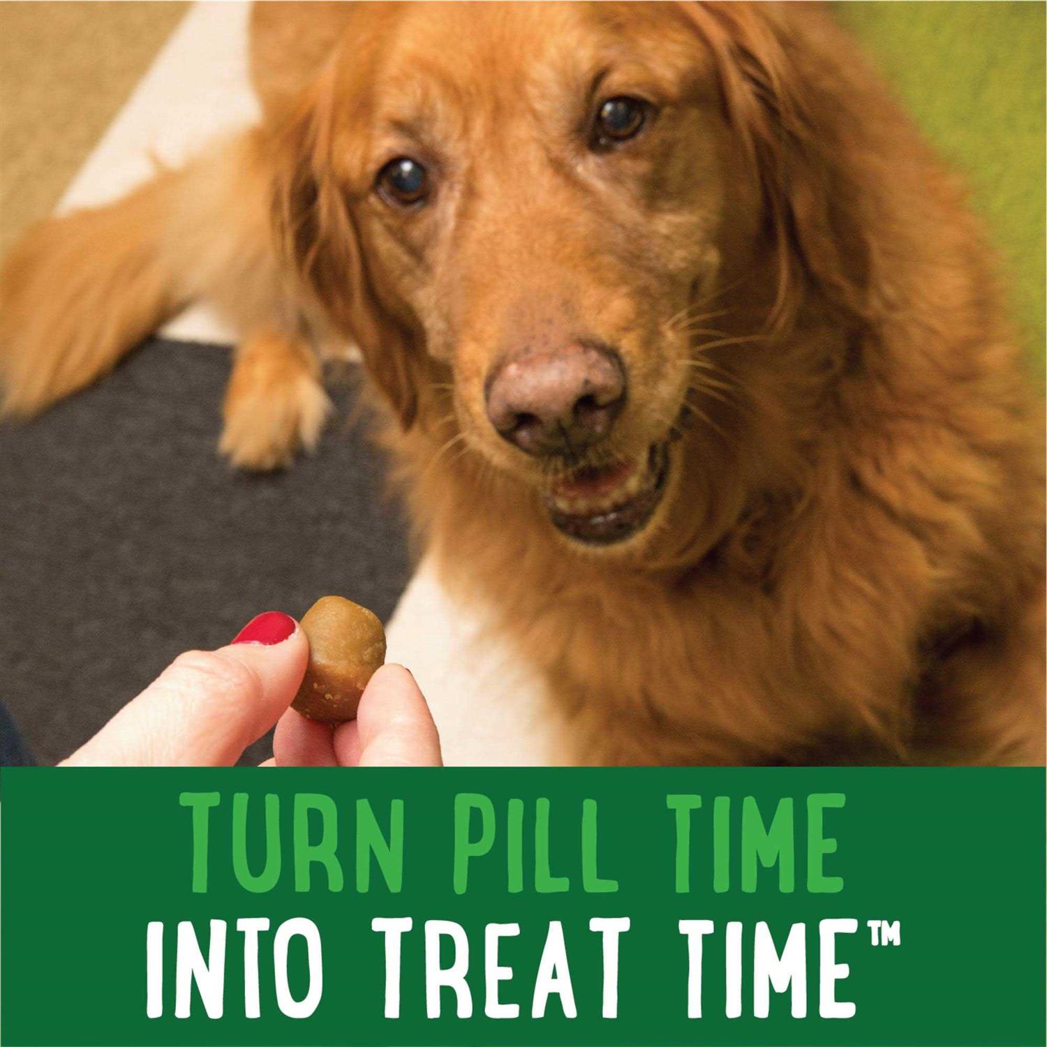 Dog Treats A3941