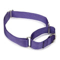 Nylon Dog Collars Multi Pack 3 Collars Purple 14 to 20 inch I3918
