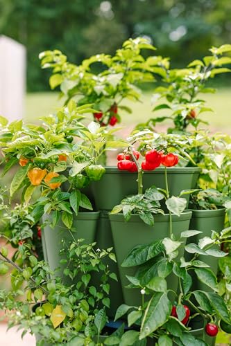 5 Tier Vertical Garden Planter with Internal Watering System P141033