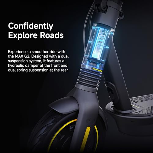 Electric Kick Scooter with Dual Suspension T734