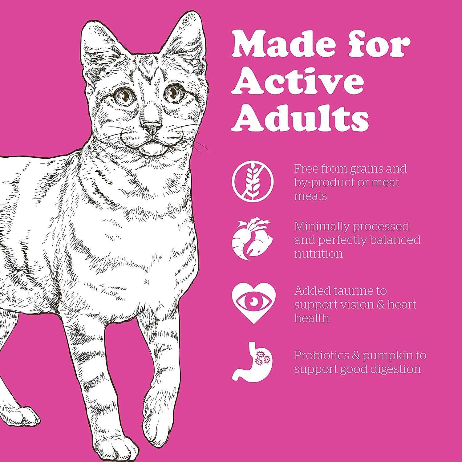 Grain-Free Adult Dry Cat Food T1630