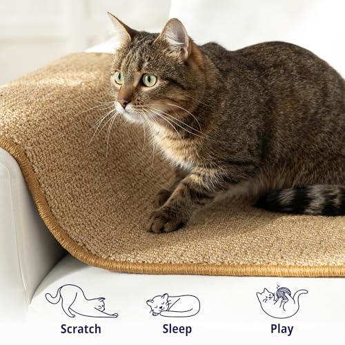 Cat Wall Climbing Carpet 67" x 17.5" with Fixed Nails V7818