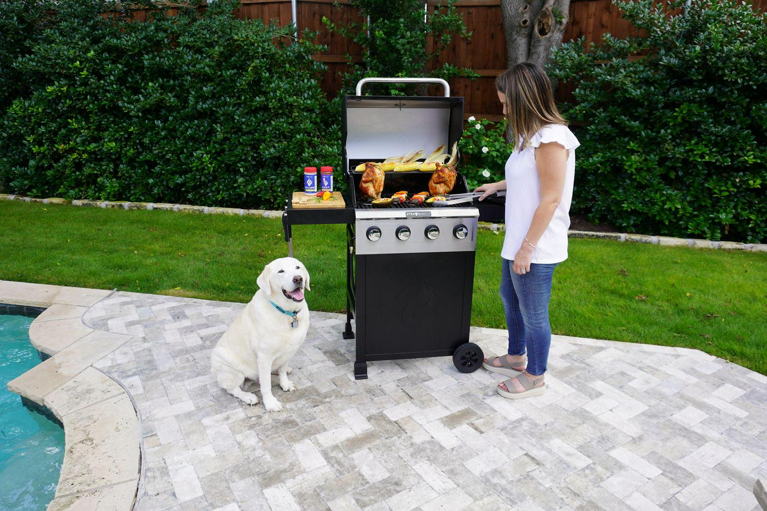 Silver Black Gas 4-Burner Grill E1361