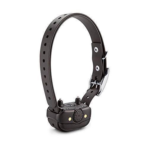 Rechargeable Dog Training Collar N765765