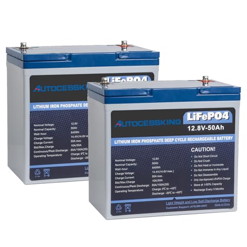 12V 100Ah BCI Group 24 LiFePO4 Battery with Low-Temp Protection X3265
