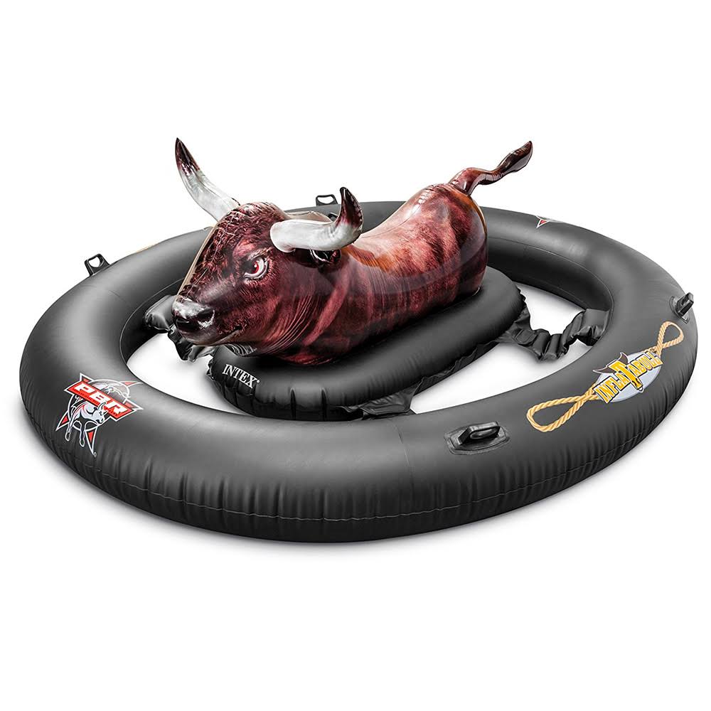 Inflatable Ride-On Pool Toy E394
