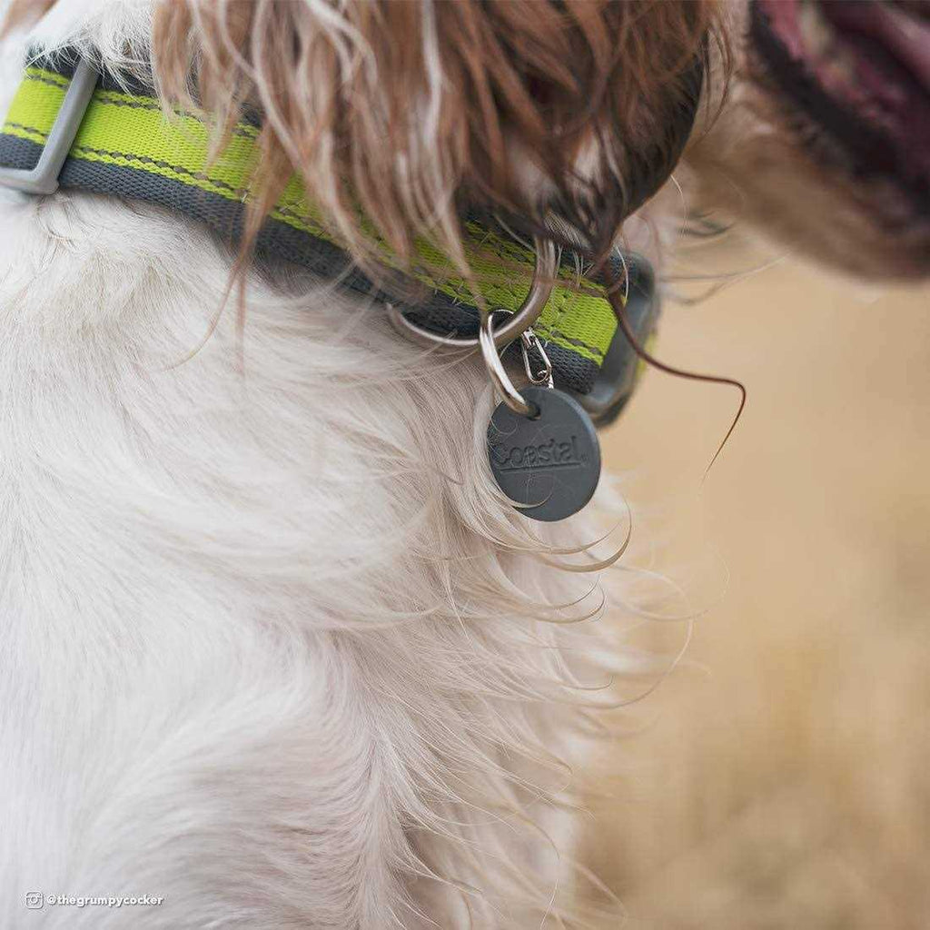 Dog ID Clip M9581