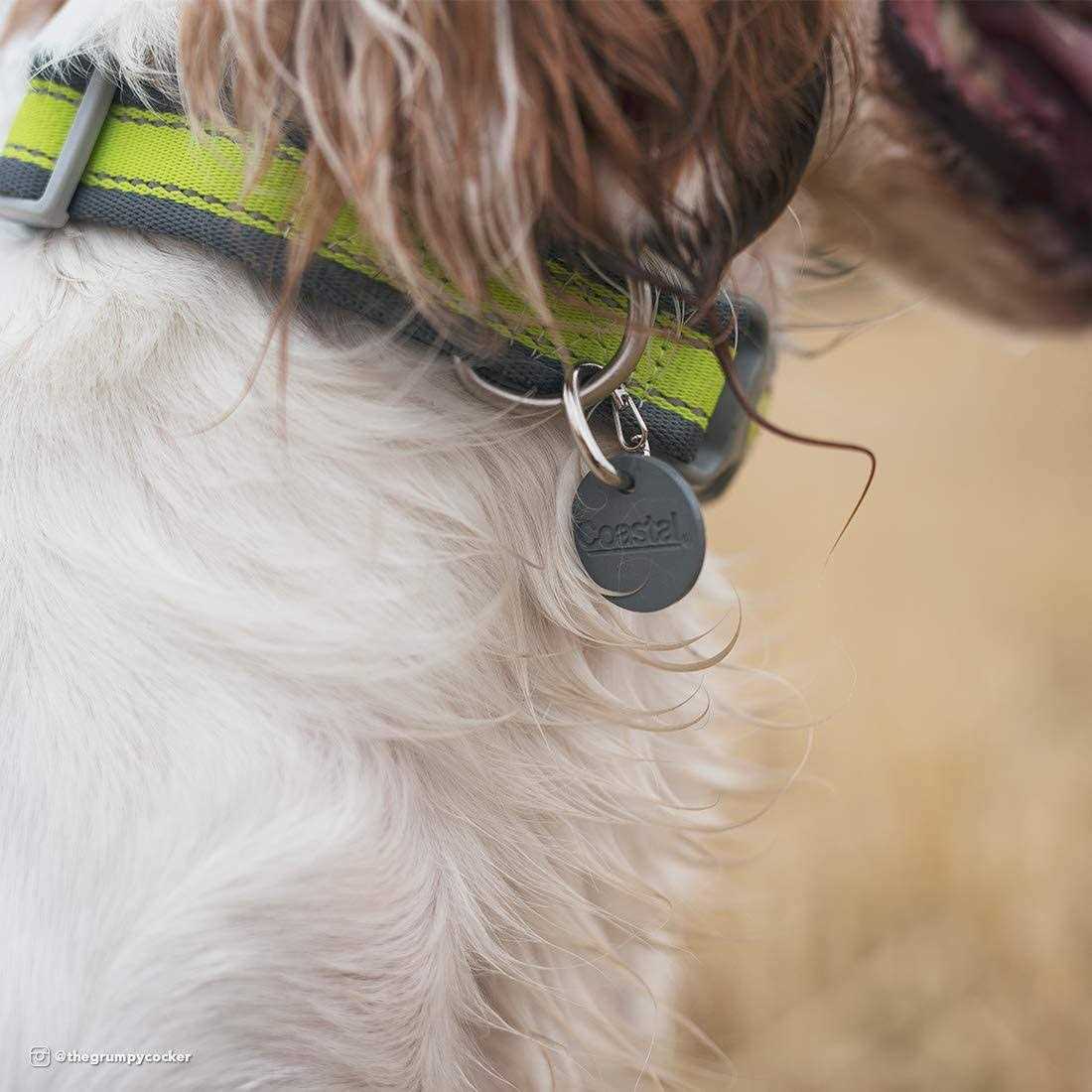 Dog ID Clip M9581