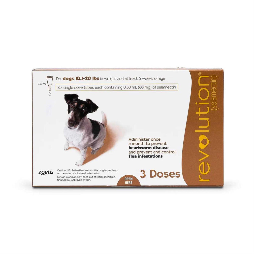 Revolution for Puppies & Kittens G986697