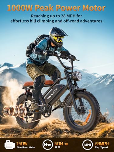 20" Fat Tire Electric Mountain Bike with 48V 18.2AH Battery N113784