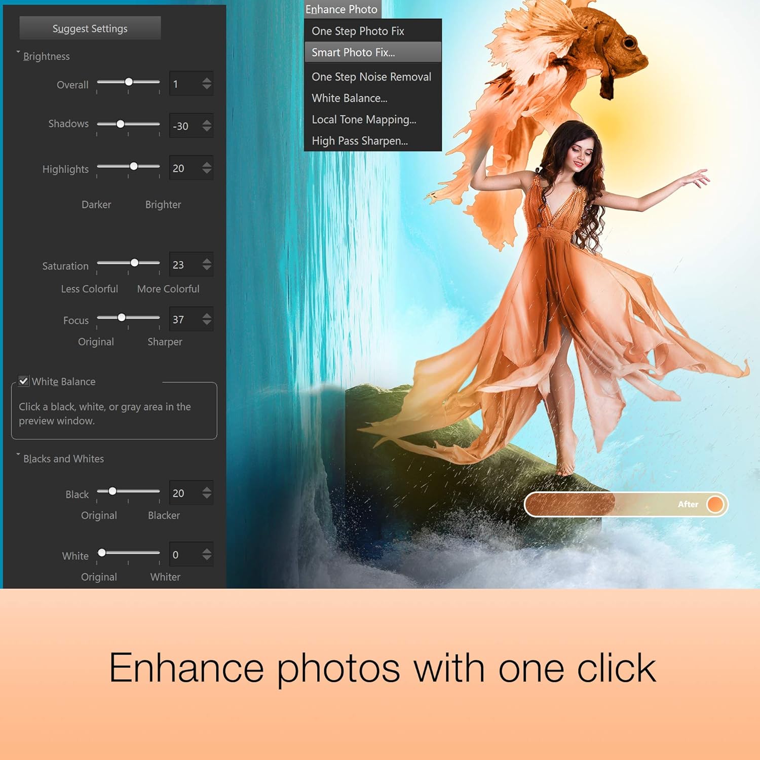 Photo Editing & Graphic Design Software Y470727