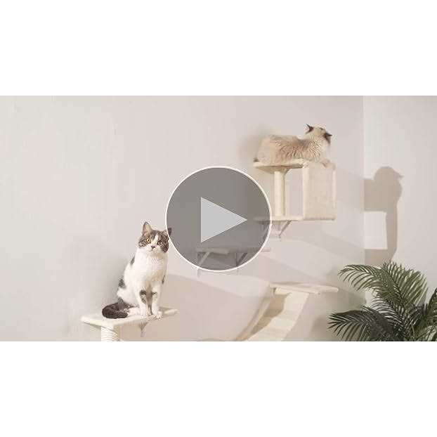 5pcs Wooden Cat Wall Shelves and Cat Climber E4169