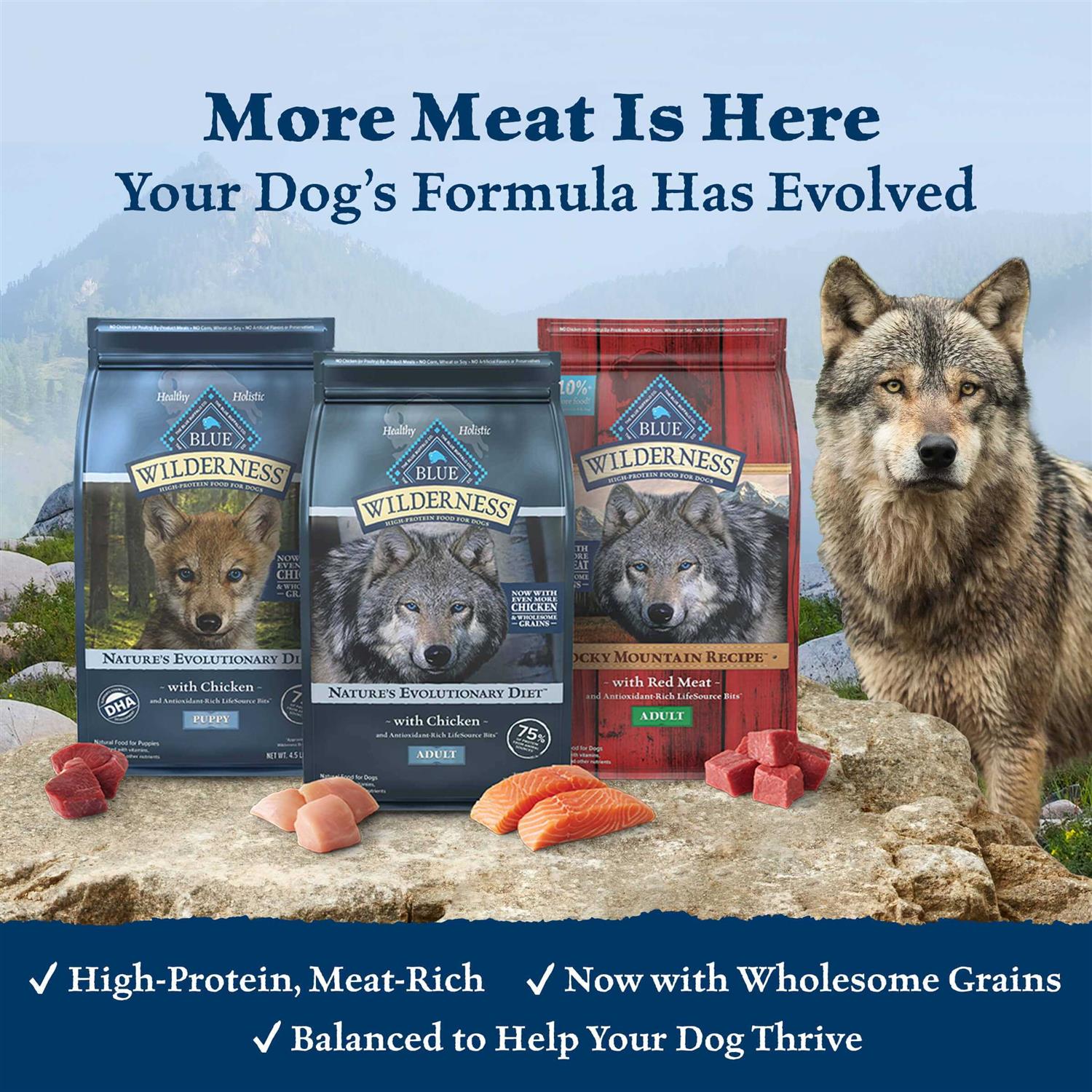 Blue Buffalo Wilderness Dog Food P720683