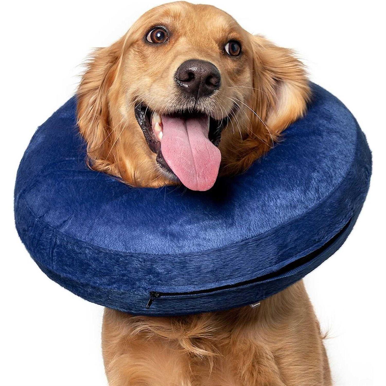 Inflatable Collar I38700