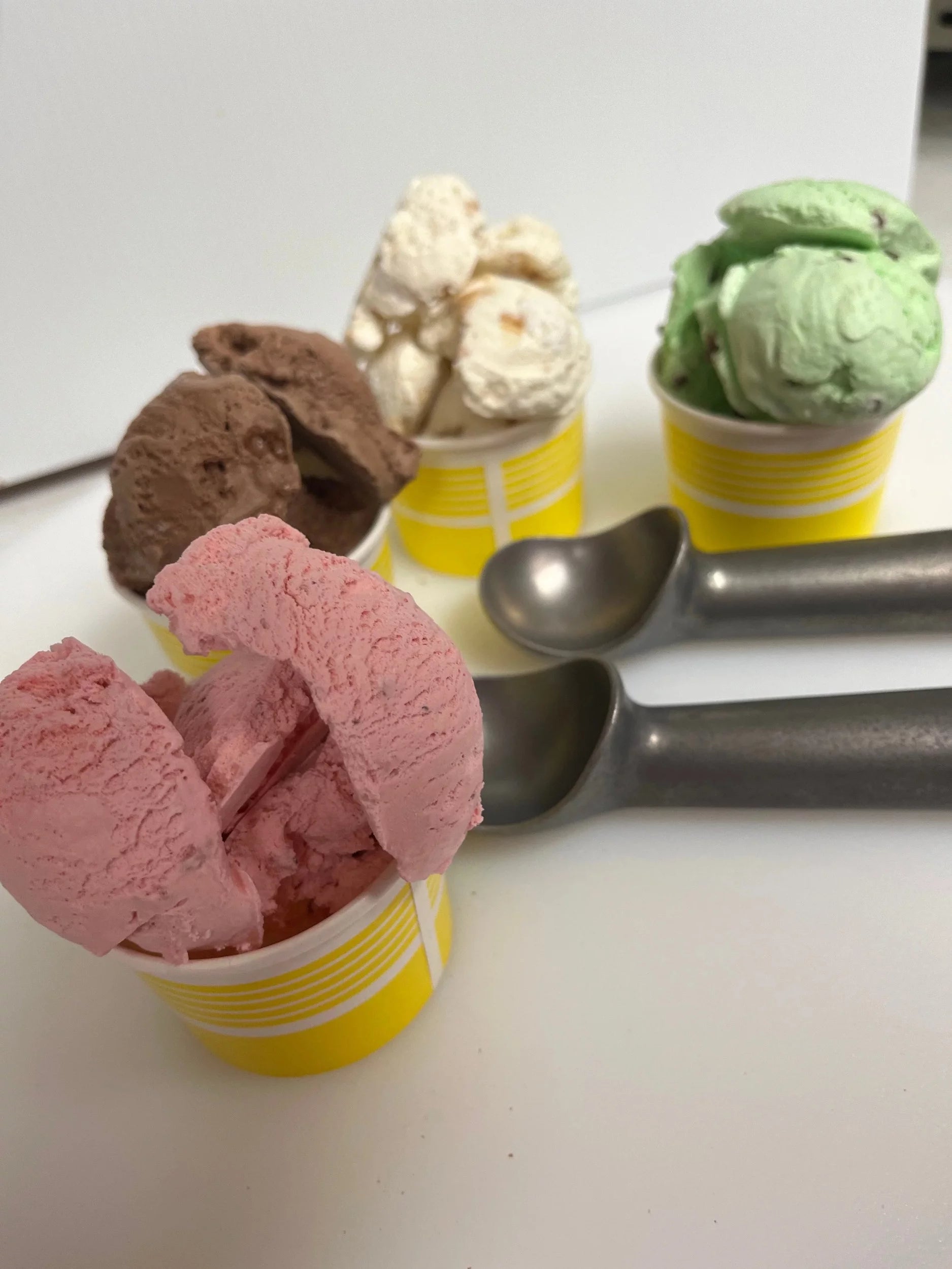 5 Pack Freeze Dried Ice Cream Q582598