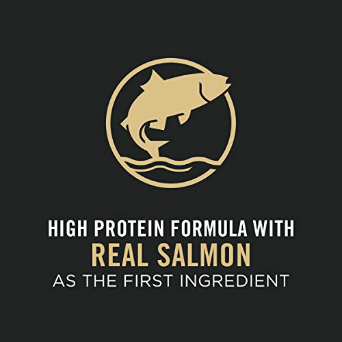 35 lb. Salmon Formula Large Breed Dog Food Y42432