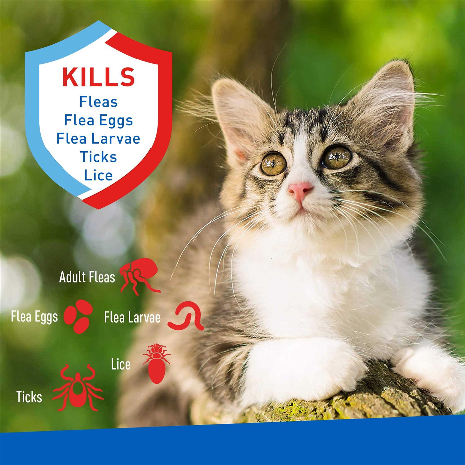 Flea & Tick Foaming Shampoo & Wash for Cats & Kittens R474893