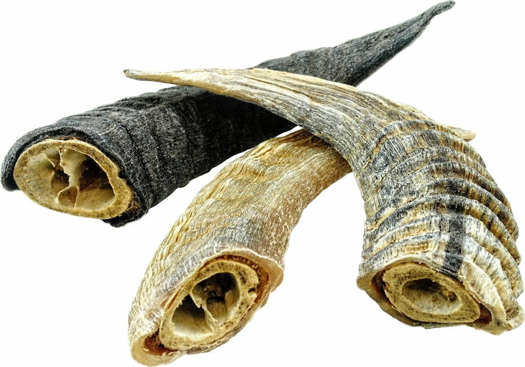 Lamb Horn Dog Chew A152204