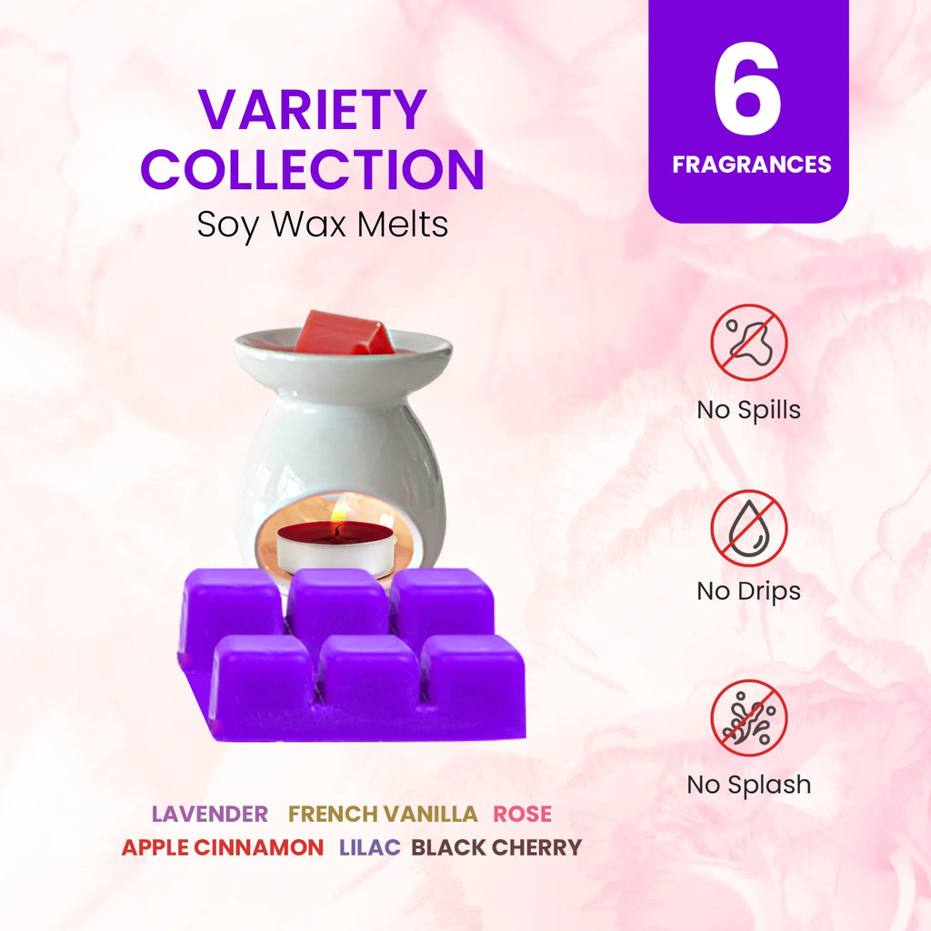 Variety Collection Scented Wax Melts B439