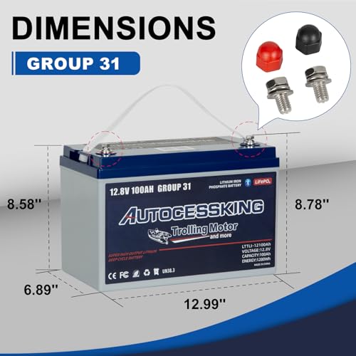 12V 100Ah BCI Group 24 LiFePO4 Battery with Low-Temp Protection X3265