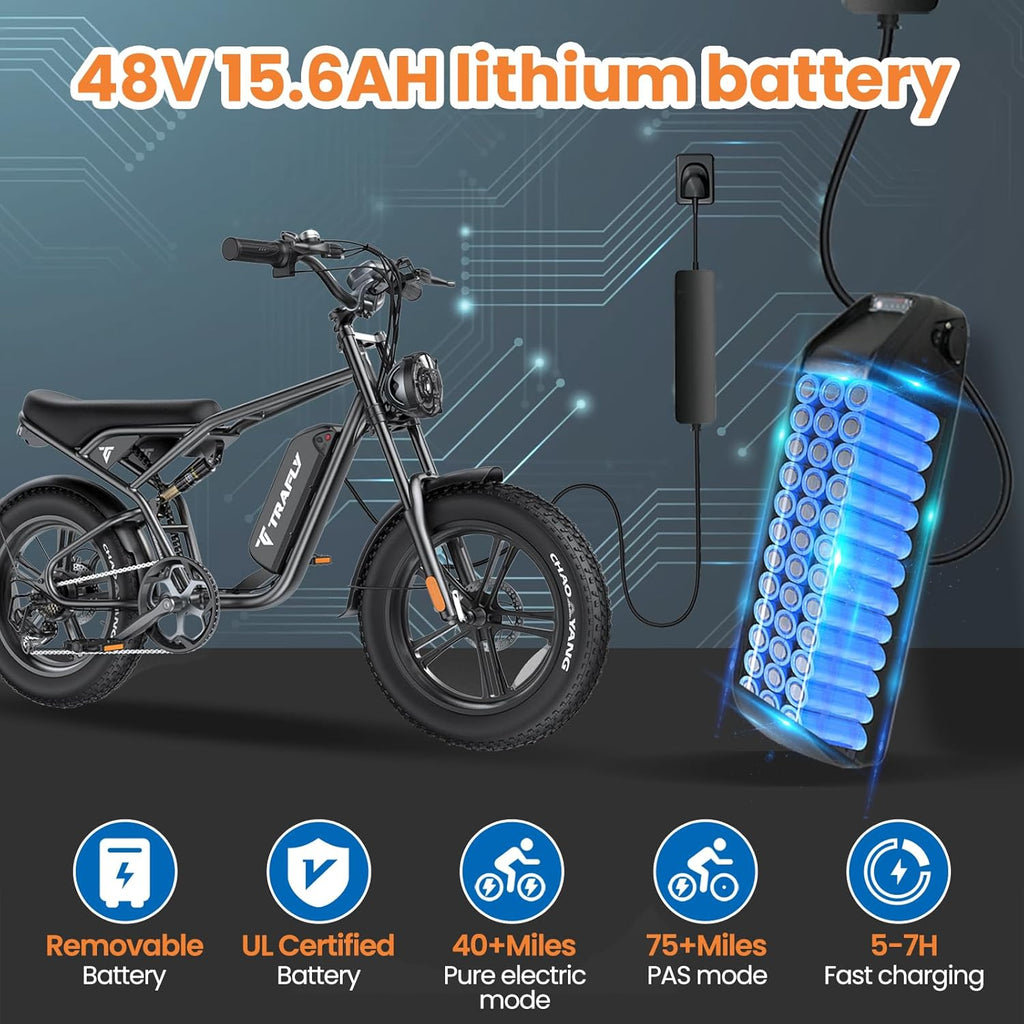 20" Fat Tire 48V 15.6AH Removable Battery Electric Bike T21318