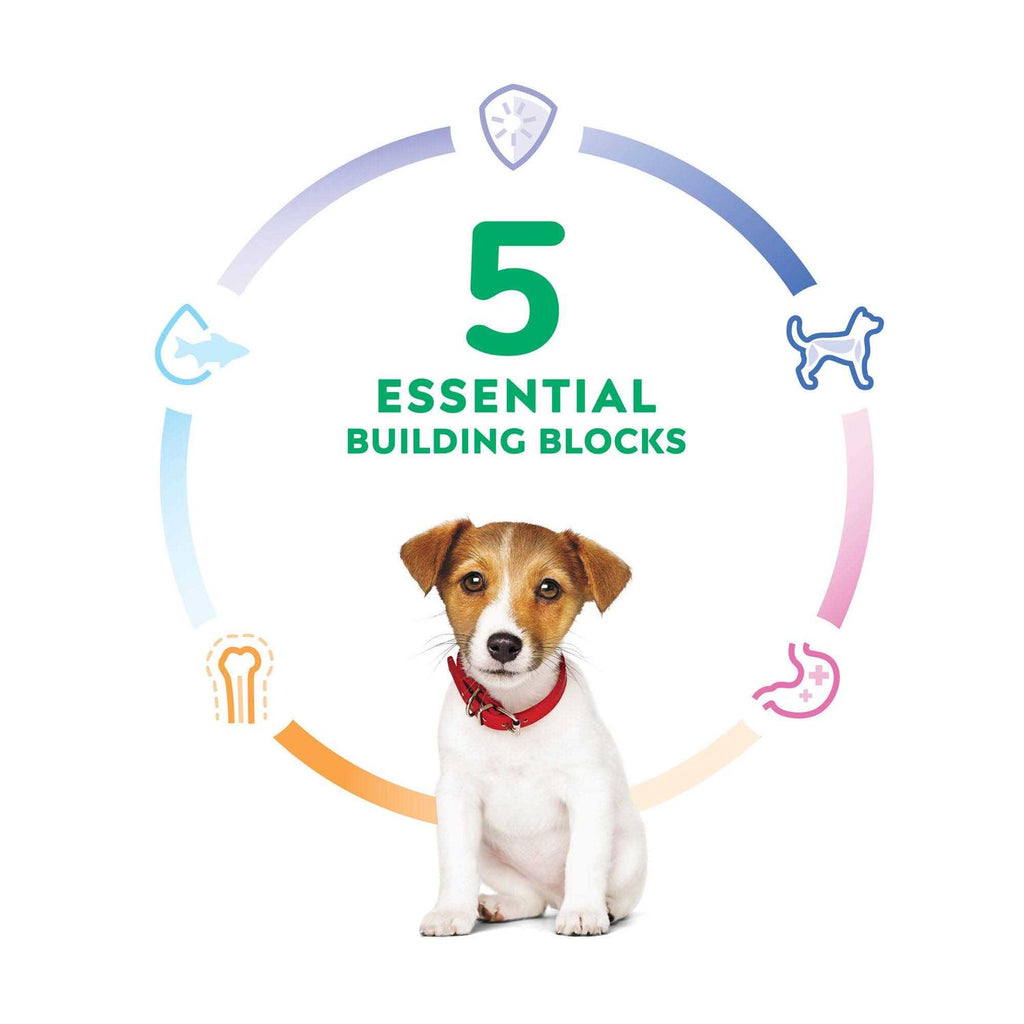 Puppy Small Bites Chicken Recipe Dry Dog Food W71736