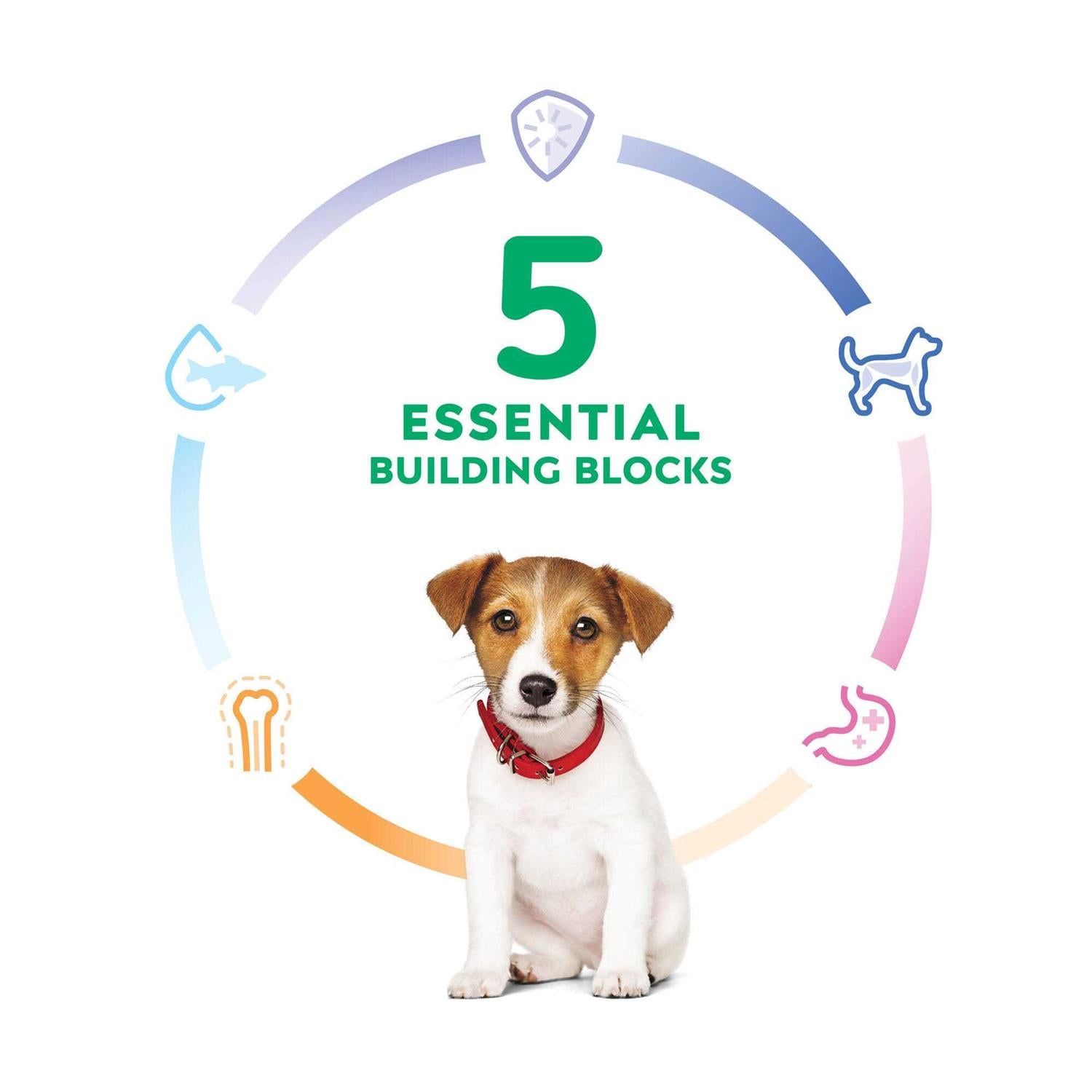 Puppy Small Bites Chicken Recipe Dry Dog Food W71736