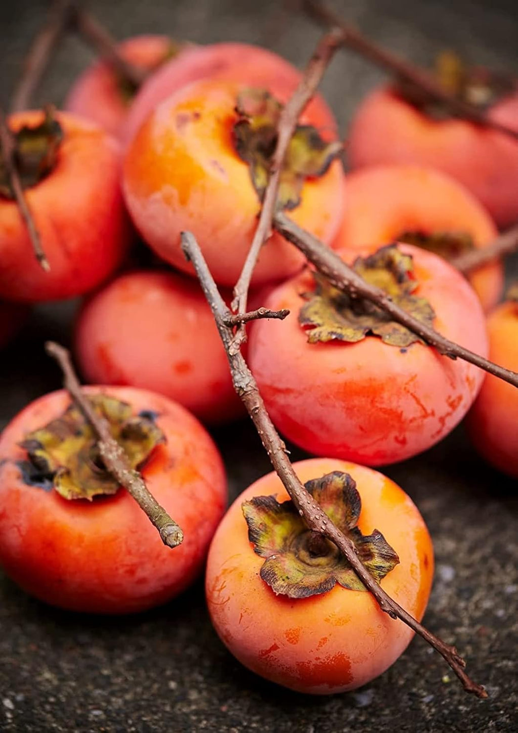Persimmon Tree Seeds - 50 Seeds J77306
