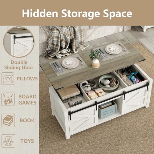 47.3'' Lift Top Coffee Table with Storage, White, Grey Top G724