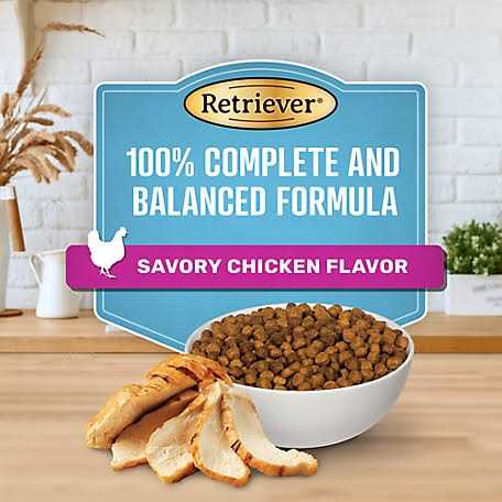 Savory Chicken Flavor Dry Dog Food X448450