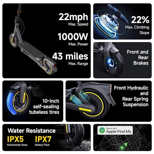 Electric Kick Scooter with Dual Suspension T734