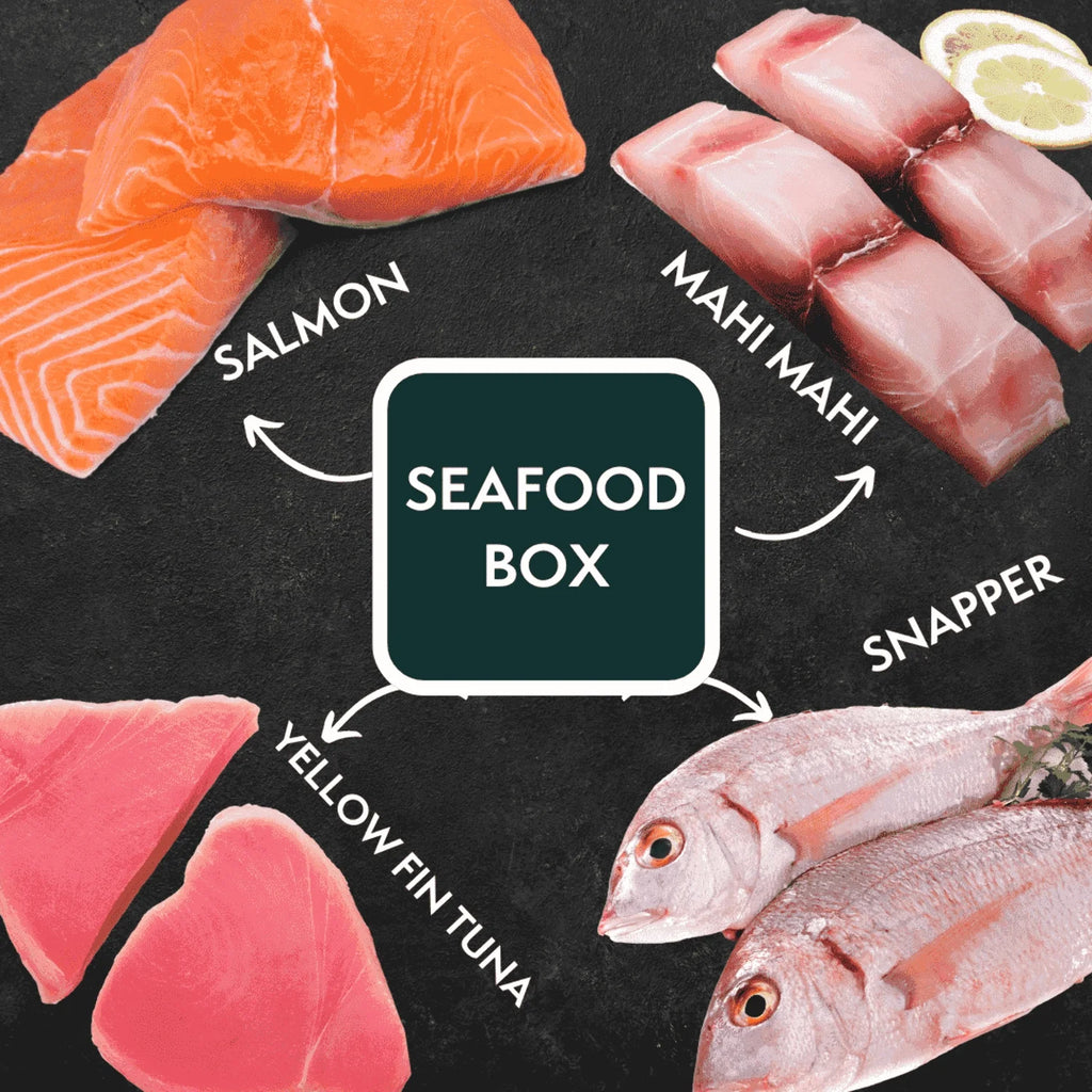 Seafood Box B26023