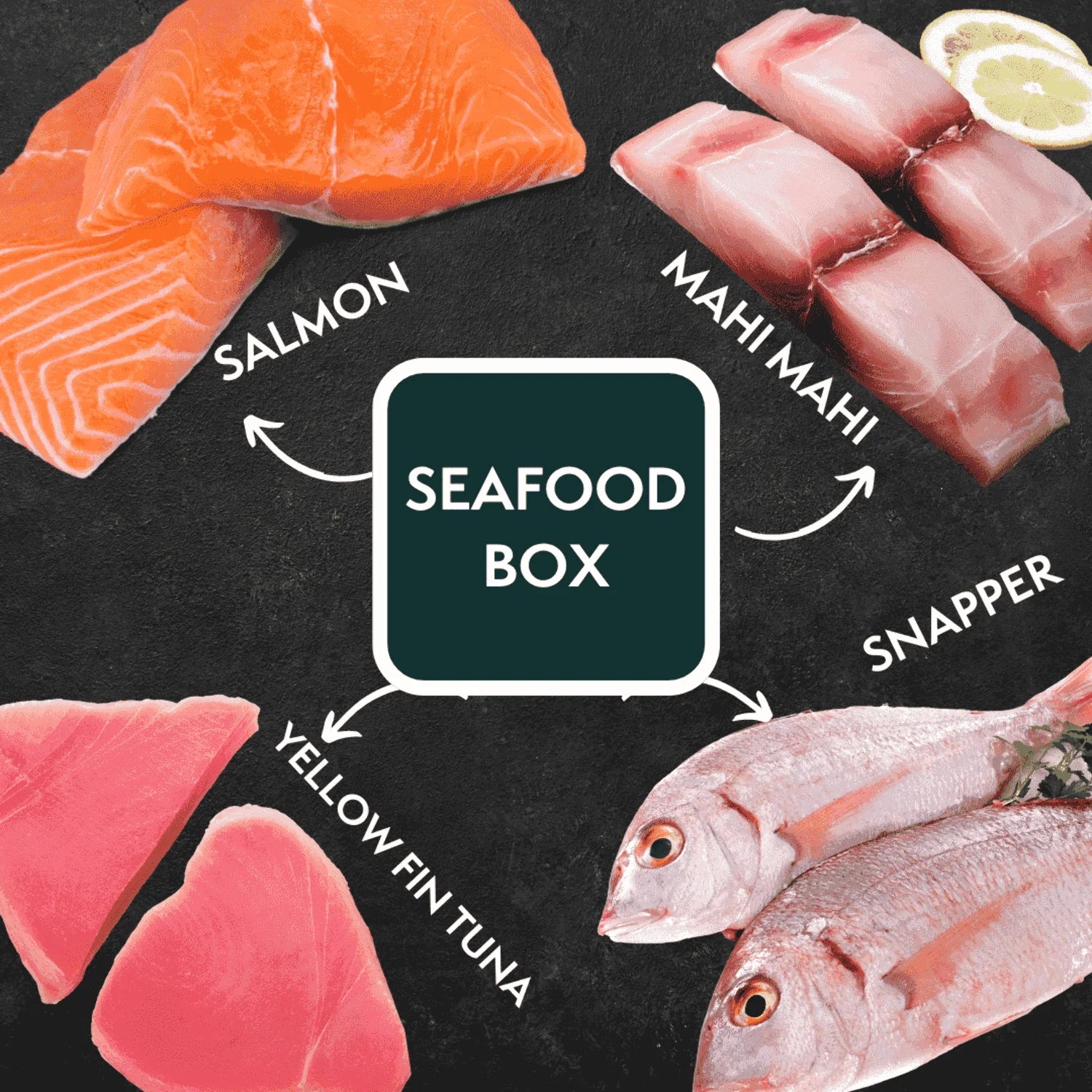 Seafood Box B26023