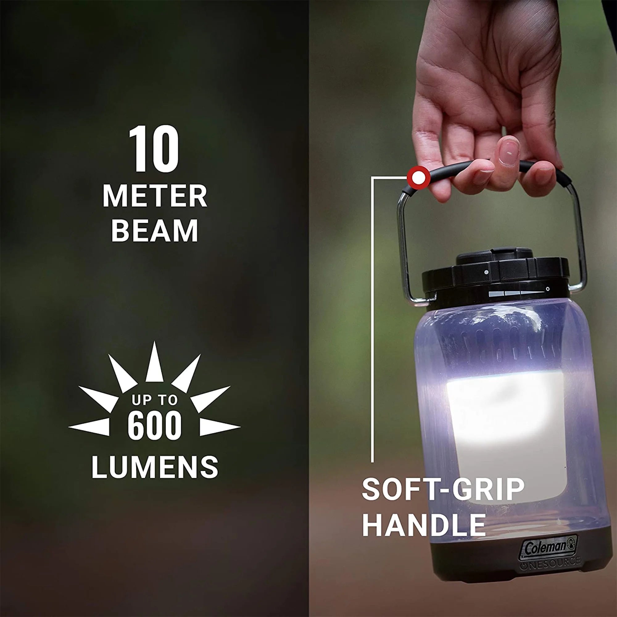 600 Lumens Outdoor Lantern (2 Pack) S9219