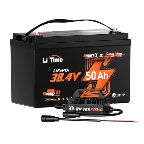 36V 50Ah LiFePO4 Battery with 43.8V 25A Charger Z66693