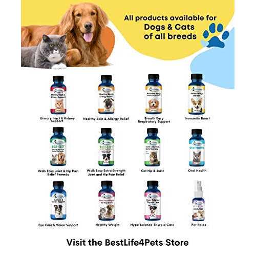 Cat Hyperthyroid + Weight Gain Support Feline Thyroid Supplement C46591