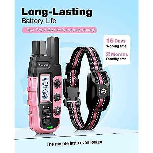 Dog Shock Collar with Remote W11119