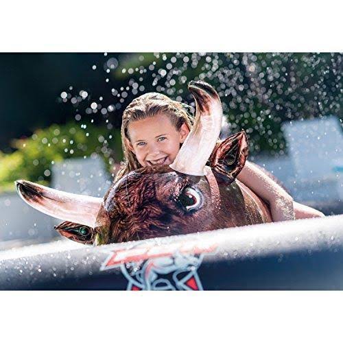 Inflatable Ride-On Pool Toy E394