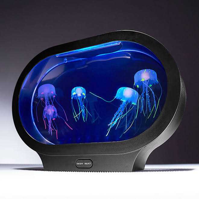 Fantasy Jellyfish Aquarium I71925