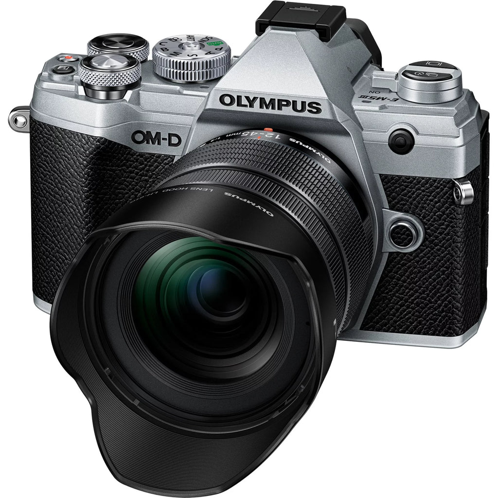 Silver Mirrorless Camera with Lens P14178