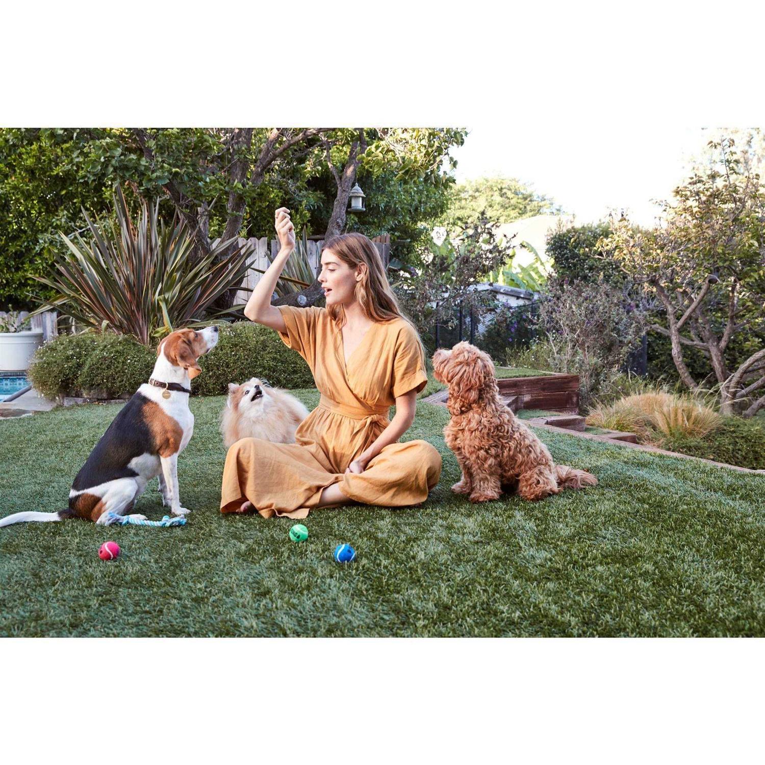 Organic Chicken Jerky Dog Treats P30463