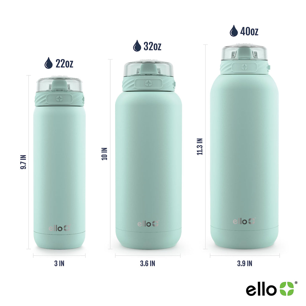 22oz Stainless Steel Water Bottle with Straw and Carry Handle Z716615