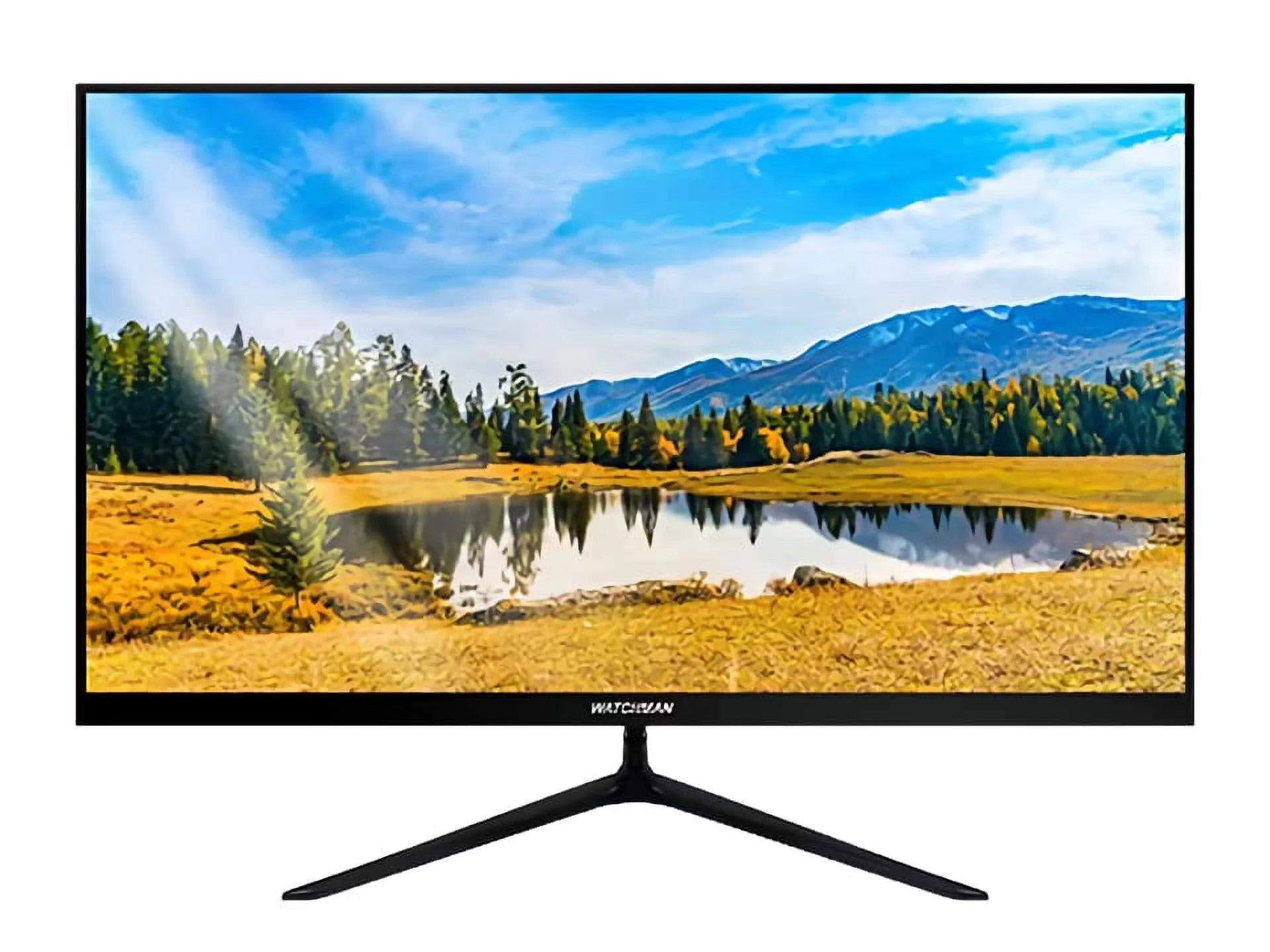 24" LED Monitor, 1920x1080 Resolution, VGA and HDMI Inputs E202465