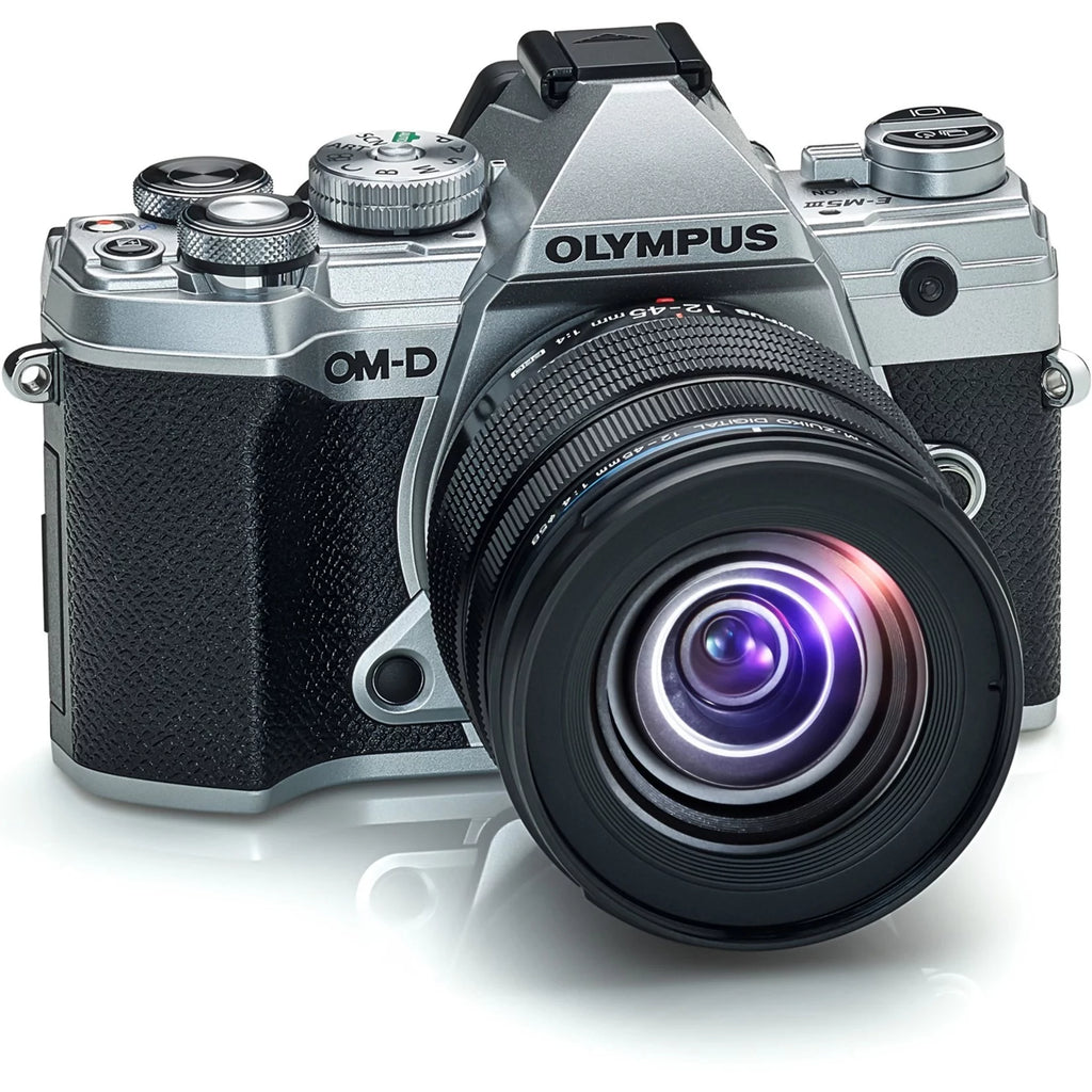 Silver Mirrorless Camera with Lens P14178