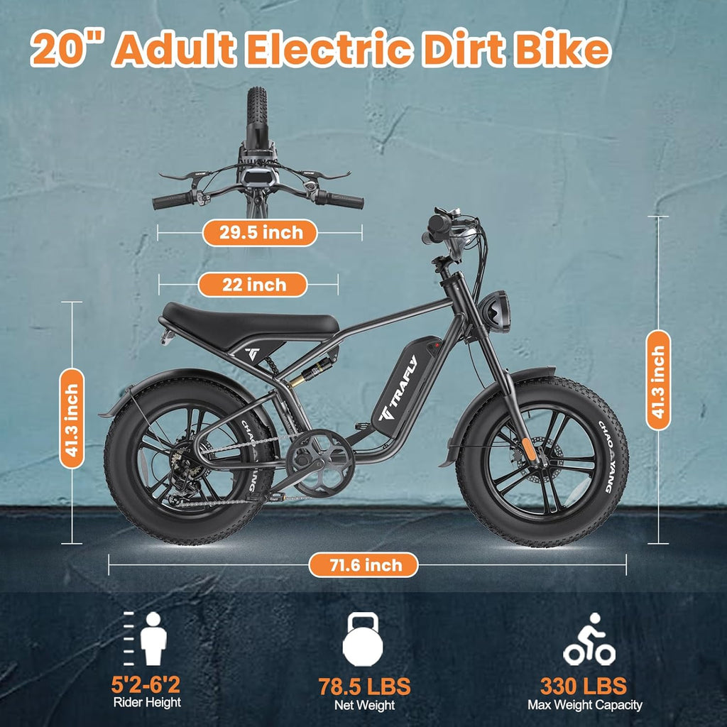 20" Fat Tire 48V 15.6AH Removable Battery Electric Bike T21318