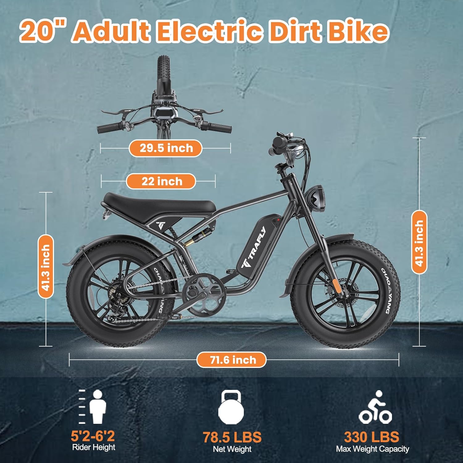 20" Fat Tire 48V 15.6AH Removable Battery Electric Bike T21318